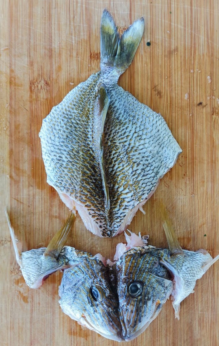 Poisson entier levé sur une planche en bois